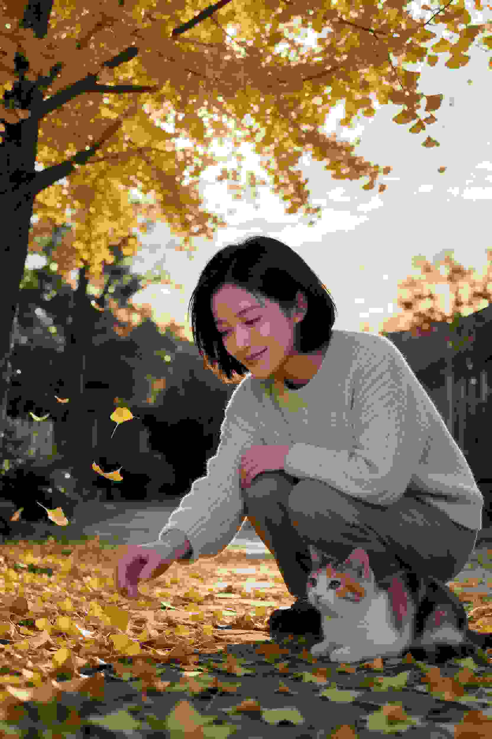 影之梦境